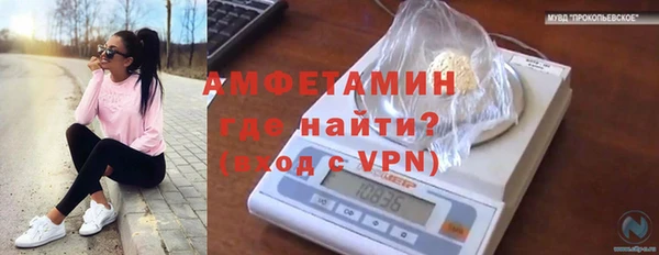 индика Балахна
