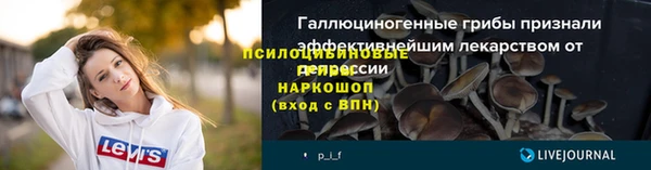 индика Баксан