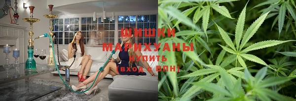 индика Балахна