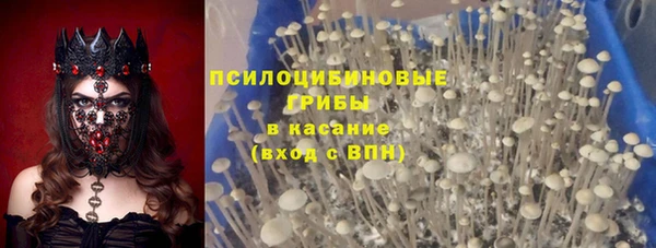 индика Баксан
