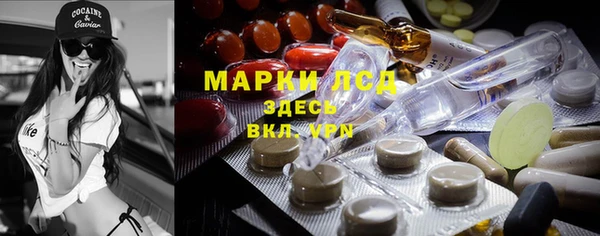 индика Балахна